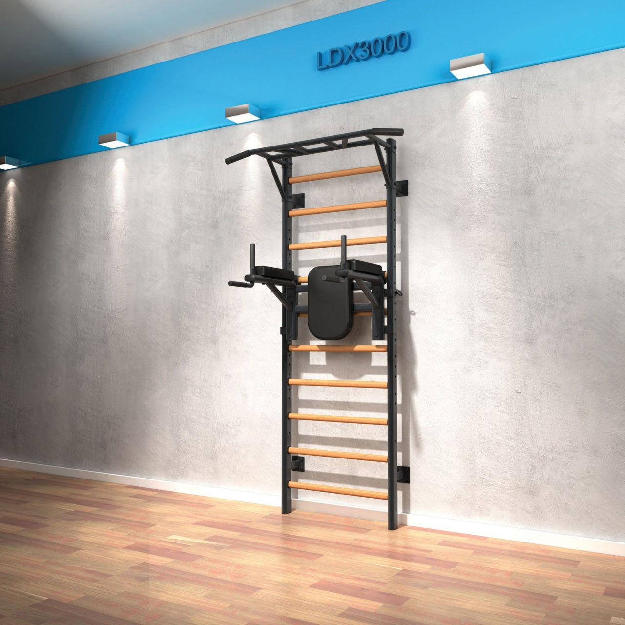 TOORX LDX-3000 Dip Station Attachment