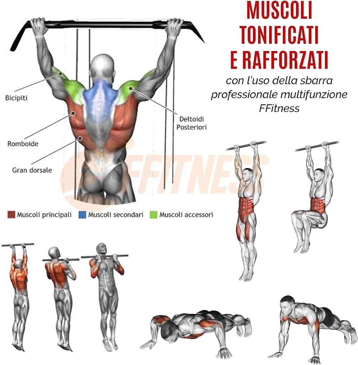 Barra per Trazioni a Parete - GYMMI