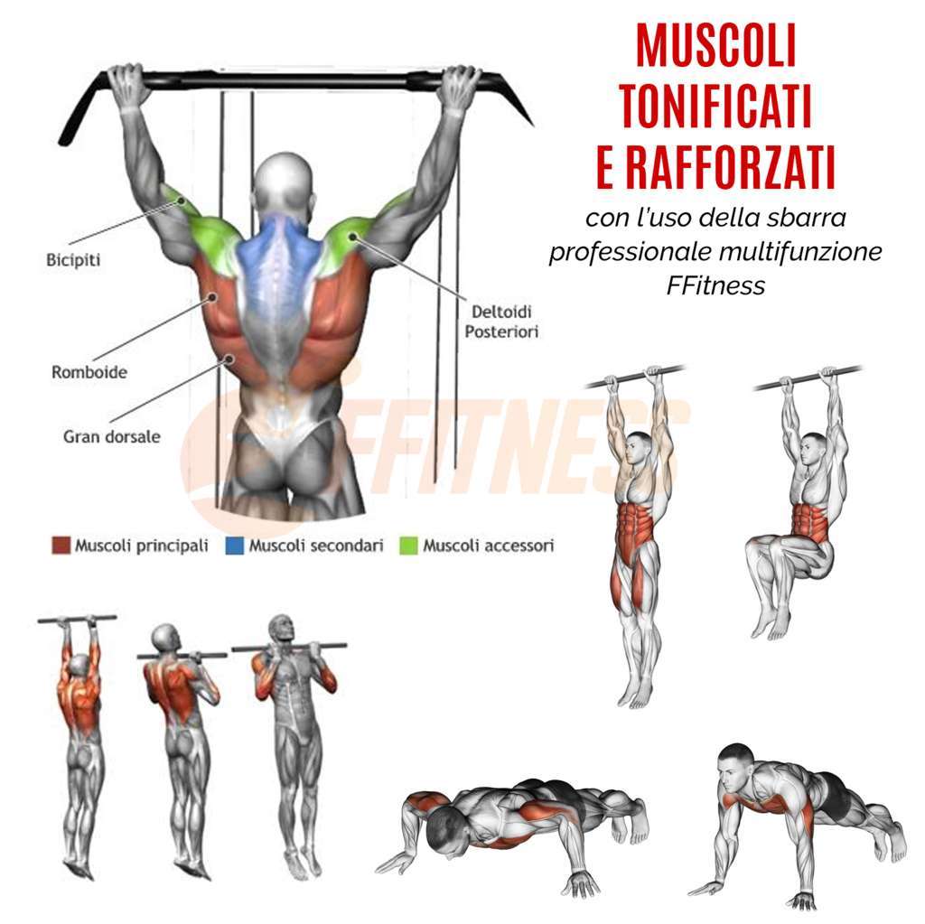 Barra per Trazioni, Flessioni e Addominali - GYMMI