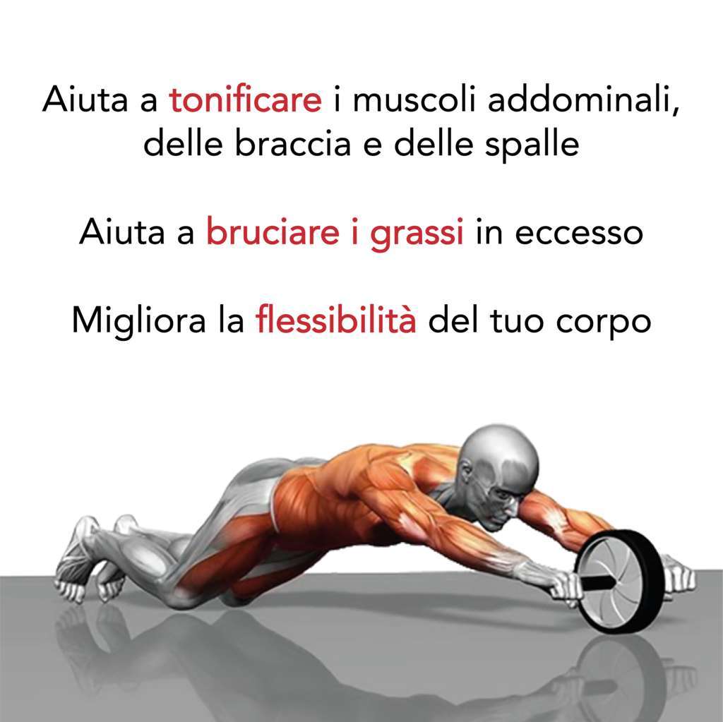 Double AB Roller Wheel - GYMMI