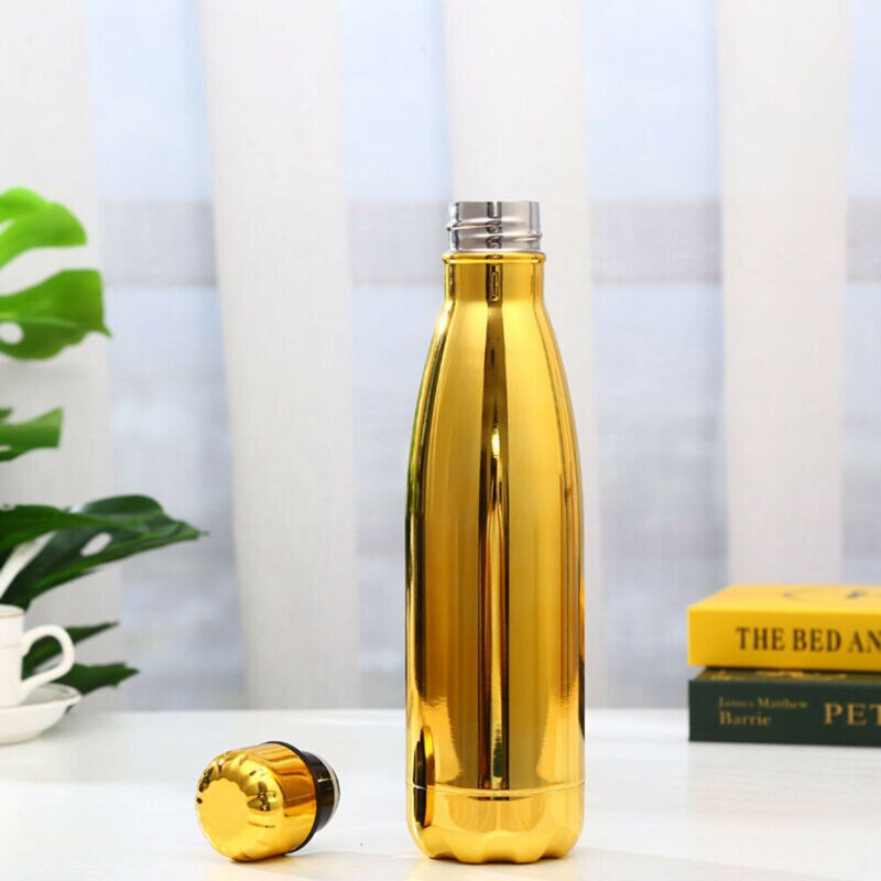 500ml Insulated Metal Water Bottle