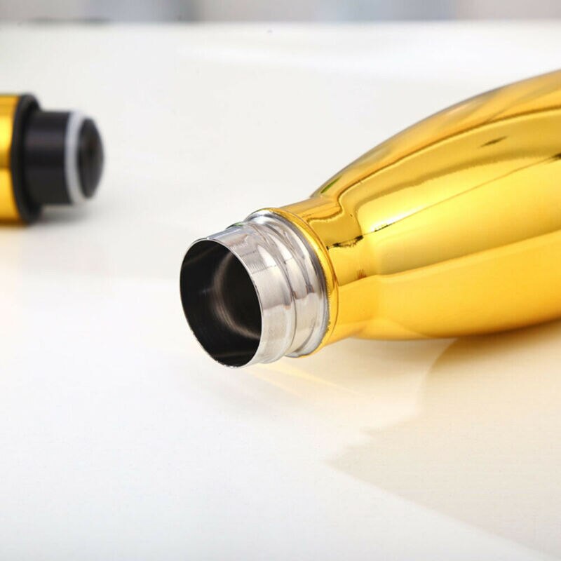 500ml Insulated Metal Water Bottle