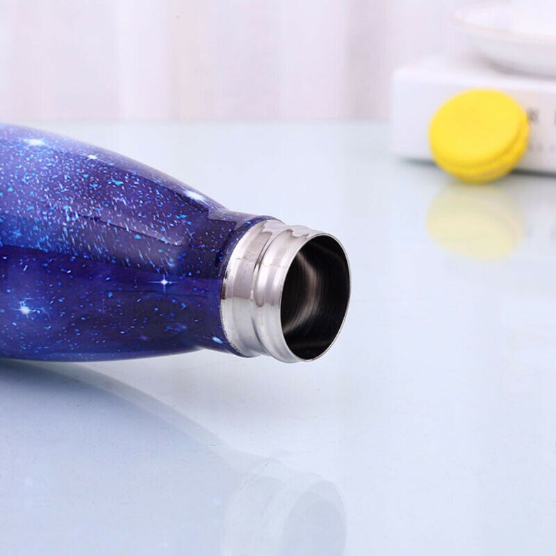 500ml Insulated Metal Water Bottle