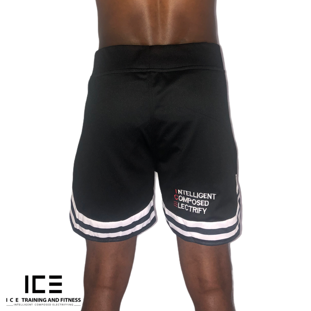 I C E "Definition" Vintage Style Shorts