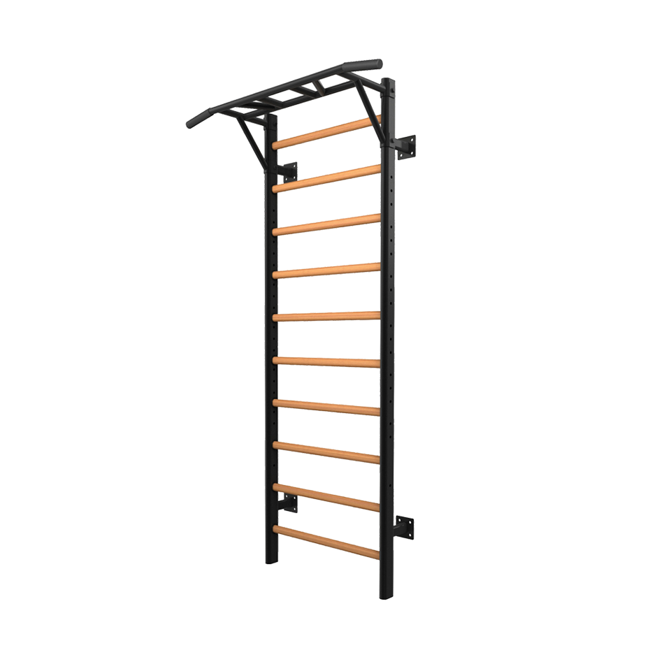 TOORX LDX-3000 Professional Wall Ladder Rack