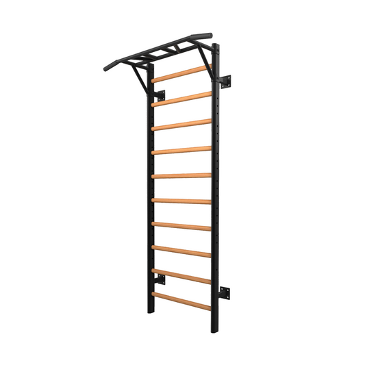 TOORX LDX-3000 Professional Wall Ladder Rack