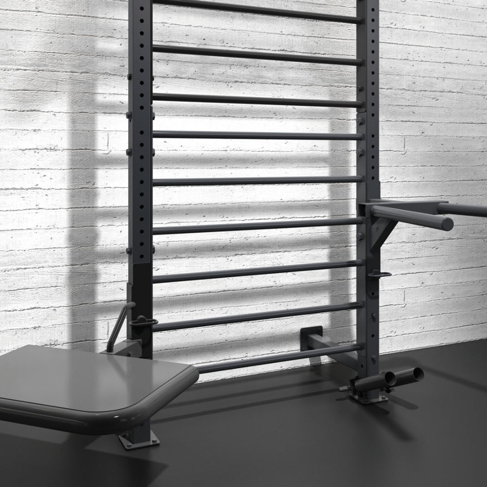 TOORX LDX-5000 Professional Wall Ladder Rack