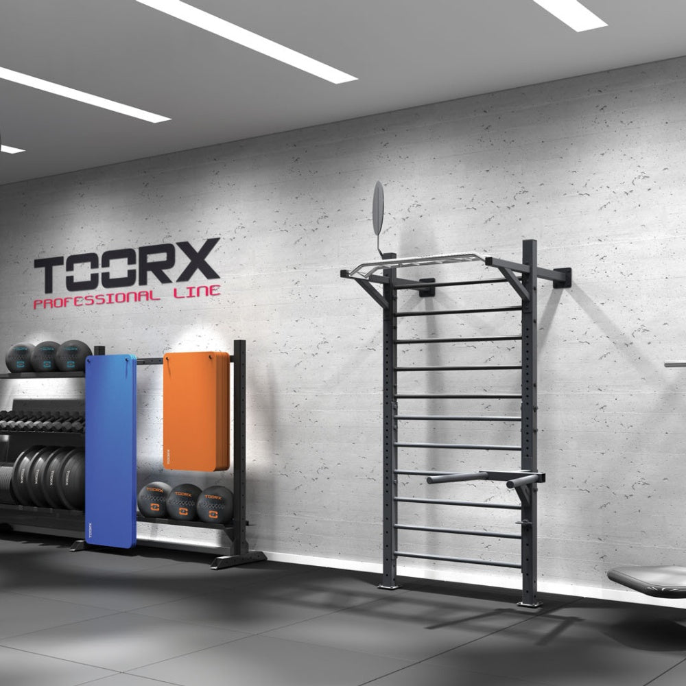 TOORX LDX-5000 Professional Wall Ladder Rack