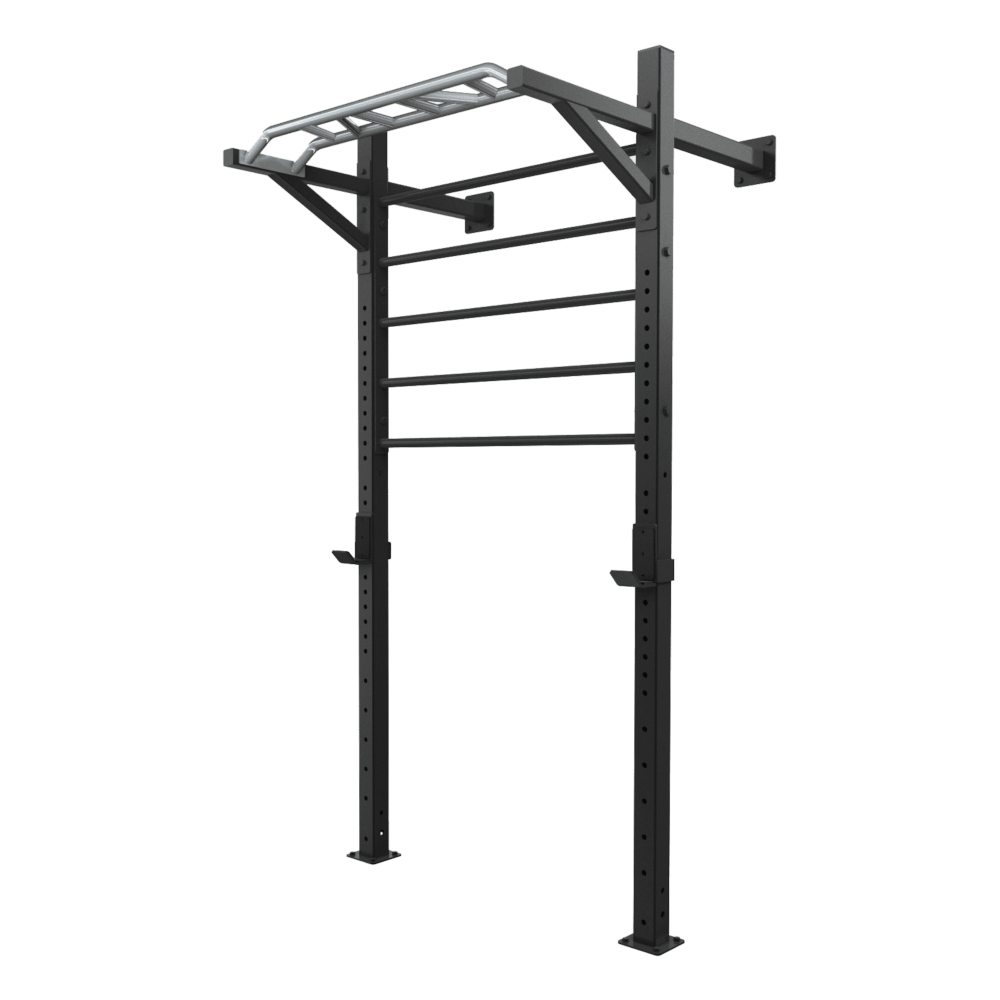 TOORX LDX-5000 Professional Wall Ladder Rack