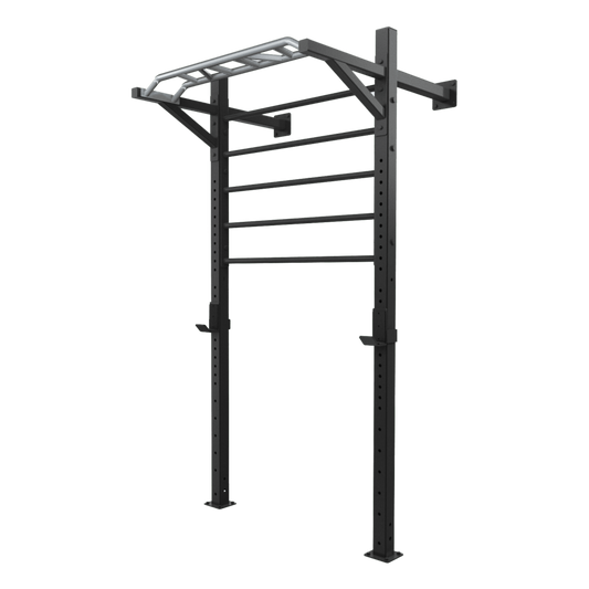TOORX LDX-5000 Professional Wall Ladder Rack