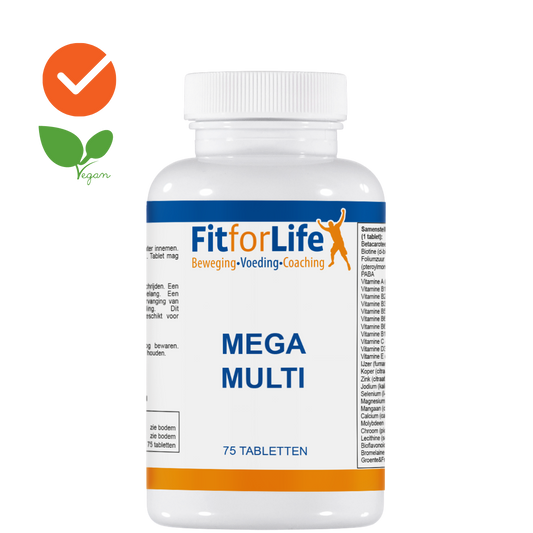 Mega Multi Multivitamin