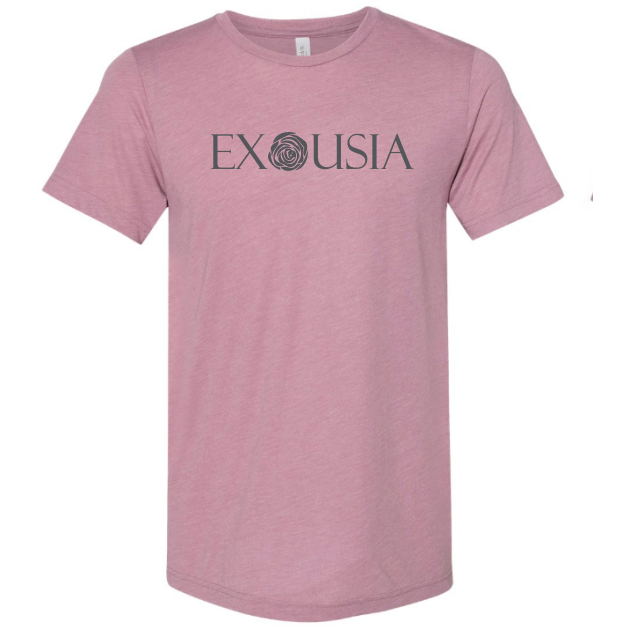 Reflective Tee