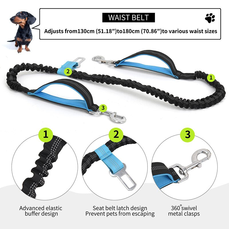 Dog Running Waist Bag And Leash