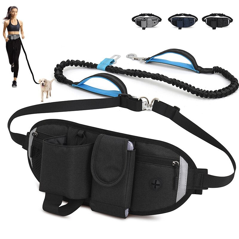 Dog Running Waist Bag And Leash
