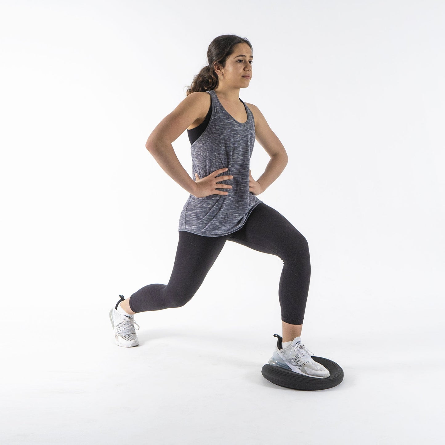 STABILITY DISC