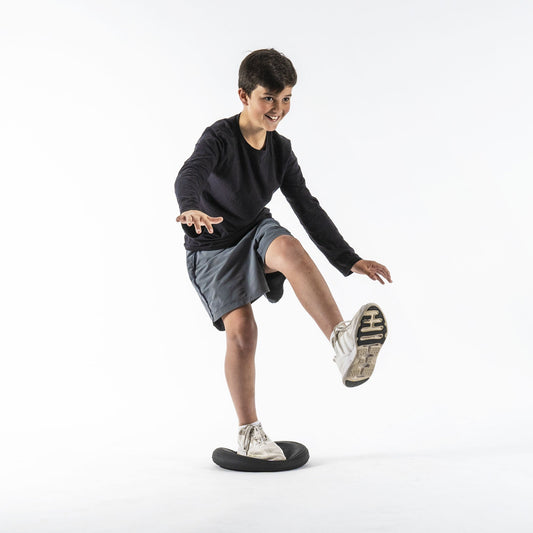 STABILITY DISC