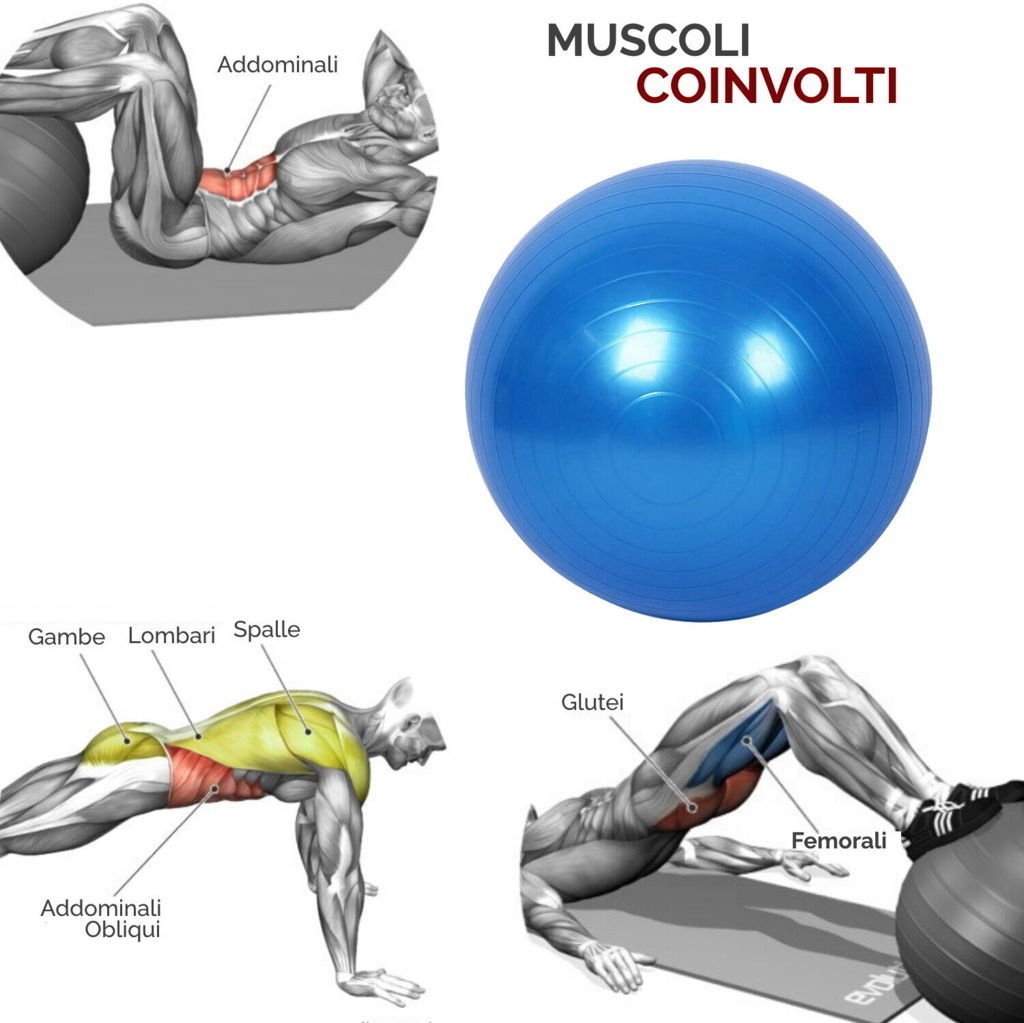 [KIT COMPLETO] Tappetino Fitness da 6mm + Fit Ball + Maniglie per piegamenti + Ab Roller + Kit Fasce Elastiche - GYMMI