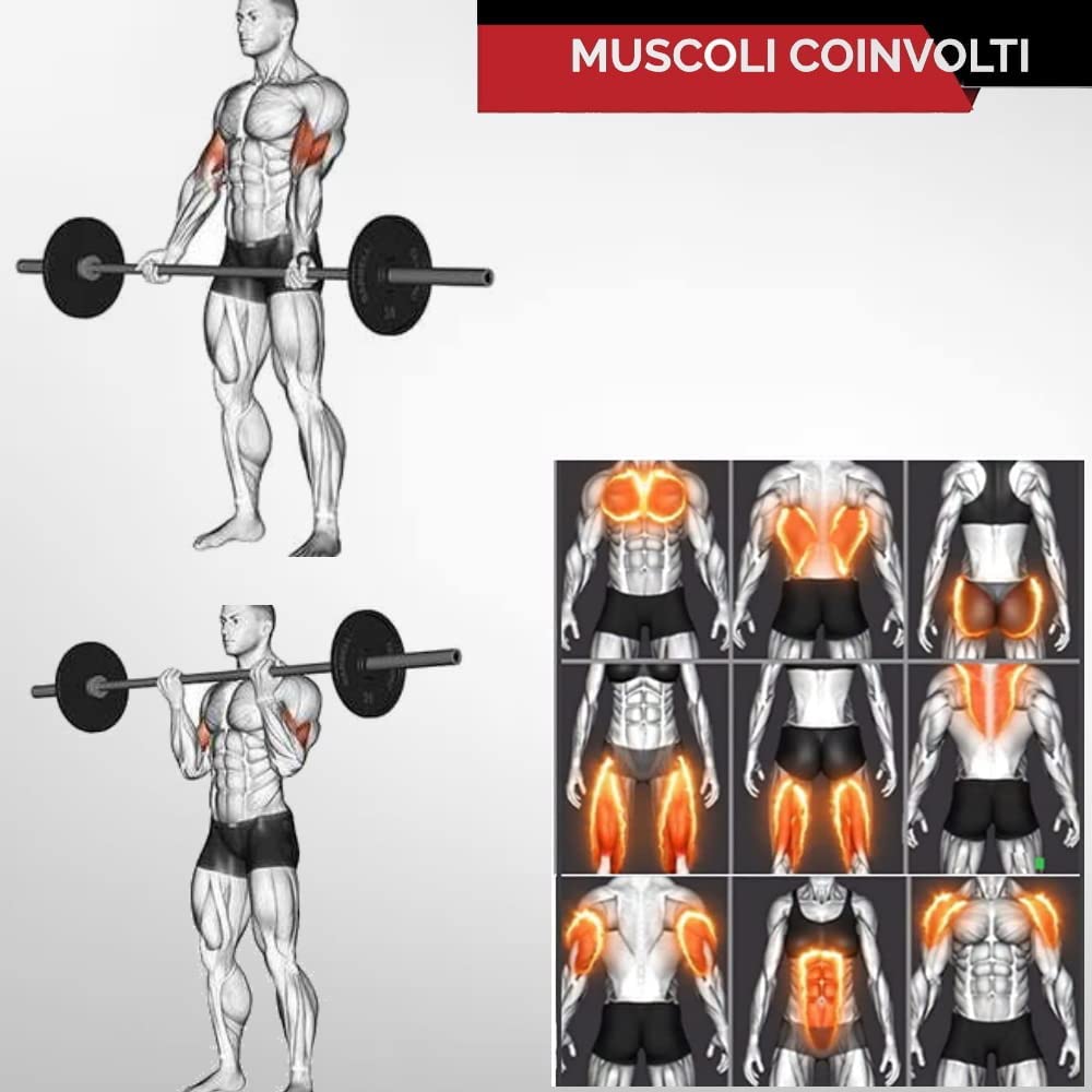 Multi-Function Weight Bench with Dip Station & 180cm Barbell - GYMMI