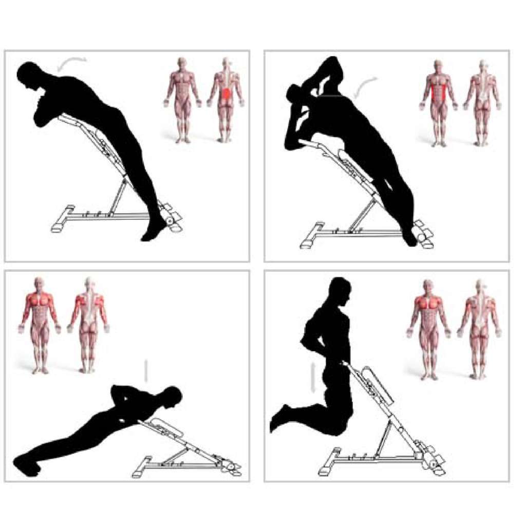 Adjustable Sit-Up & Abdominal Bench