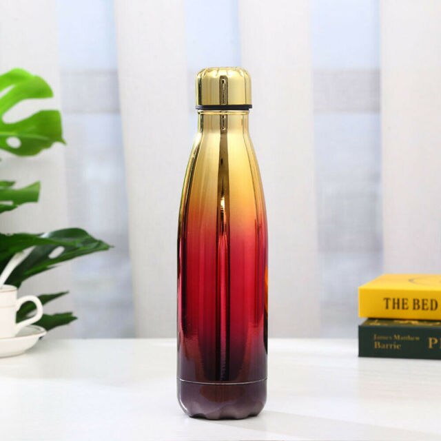 500ml Insulated Metal Water Bottle