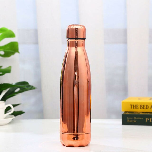 500ml Insulated Metal Water Bottle