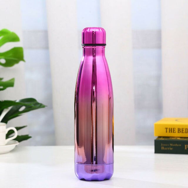 500ml Insulated Metal Water Bottle