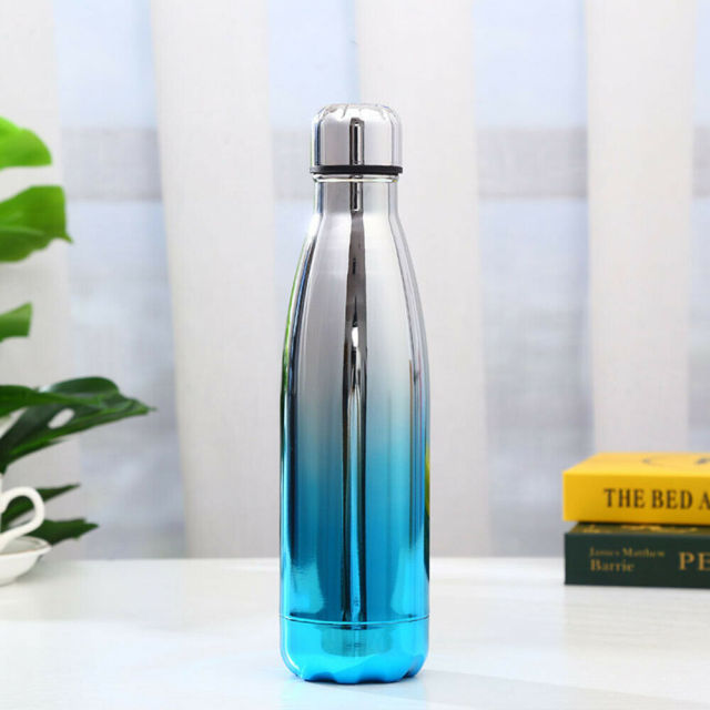 500ml Insulated Metal Water Bottle