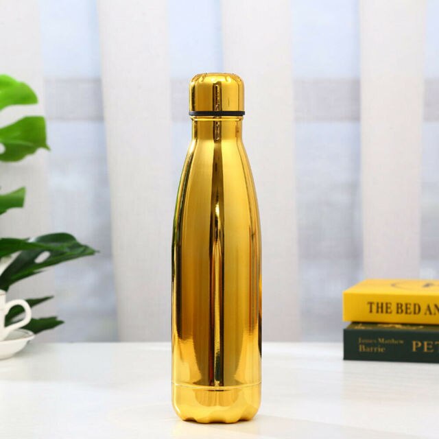 500ml Insulated Metal Water Bottle