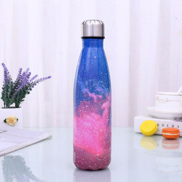 500ml Insulated Metal Water Bottle