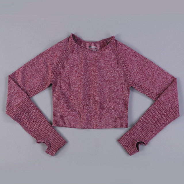 Long Sleeve Seamless Gym, Yoga Top